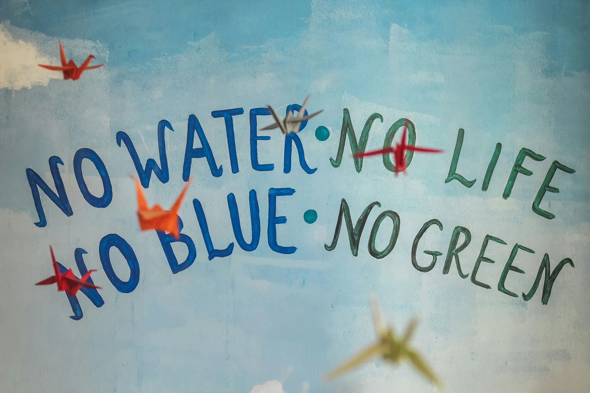 Environmental supporters and community members connected through the organisation's work